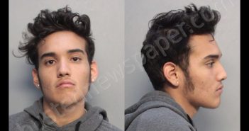 RAMIREZ, FABIAN | 2019-12-05 09:34:00 Miami-Dade County, Florida Booking