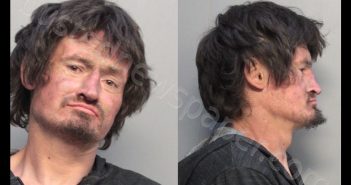 KHOROKHORINA, ANDREW | 2019-12-05 09:57:00 Miami-Dade County, Florida Booking