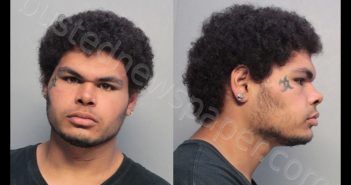 RICARDO, STEPHEN | 2019-12-06 20:55:00 Miami-Dade County, Florida Booking