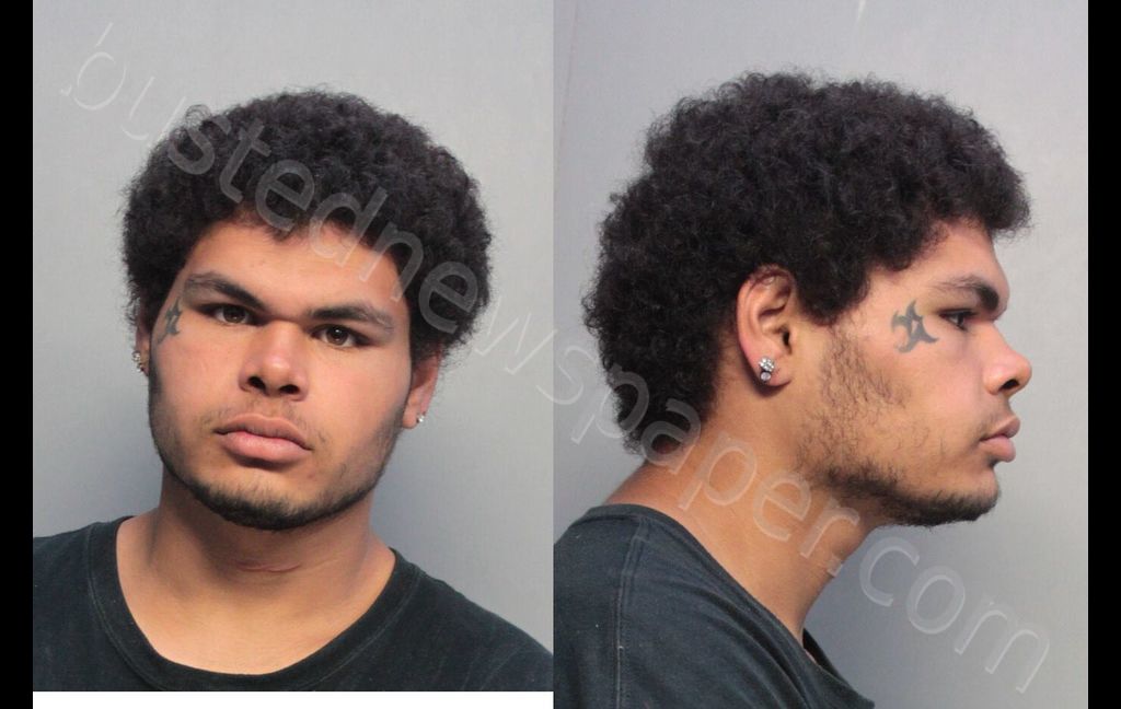 RICARDO, STEPHEN #, Miami-Dade County, Florida - 2019-12-06 20:55:00