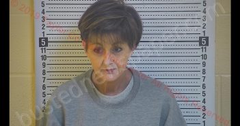 BRIDGET D. JONES | 2019-12-06 19:33:00 Taylor County, Kentucky Booking