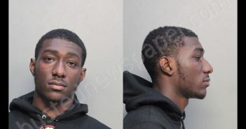 DENSON, DARYL | 2019-12-06 14:15:00 Miami-Dade County, Florida Booking