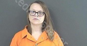 WILSON, TRACY RENEE | 2019-12-06 10:00:00 Roanoke County, Virginia Booking