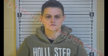 MEGAN ANN KEITH | 2019-12-06 21:26:00 Taylor County, Kentucky Booking