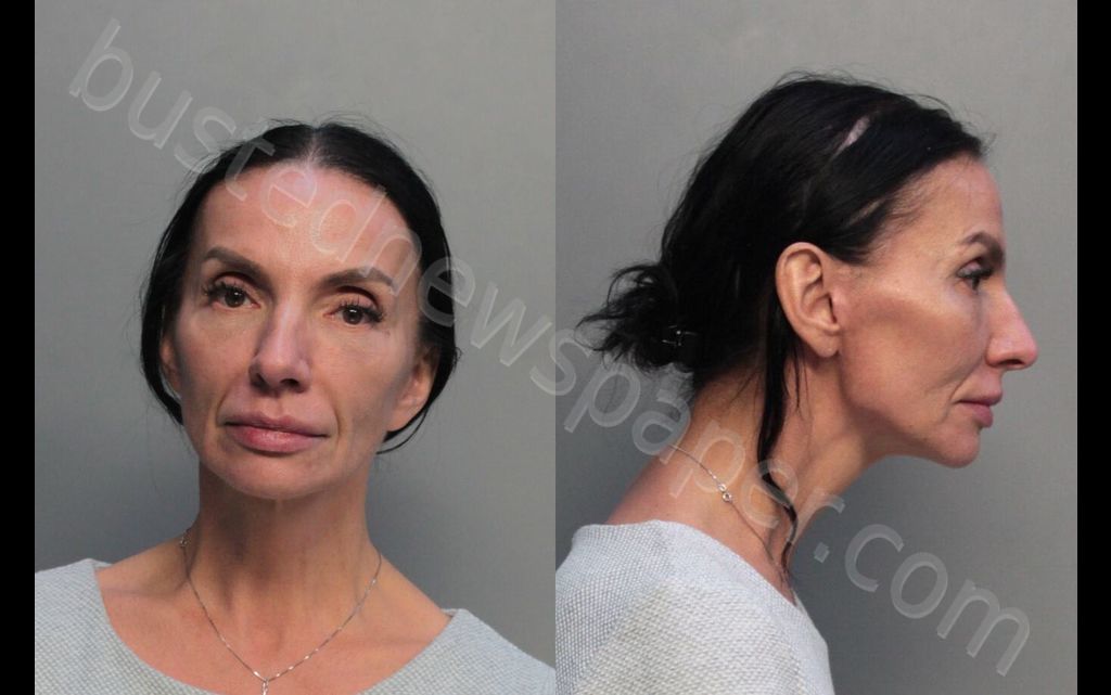 LOSIK, INA #, Miami-Dade County, Florida - 2019-12-06 20:26:00