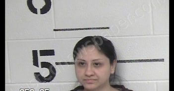 ORTIZ-GARCIA, OLGA | 2019-12-06 19:29:00 Chase County, Kansas Booking