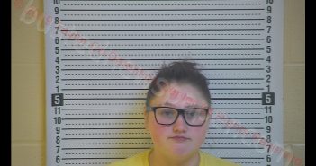 ALLISON HARRIS | 2019-12-06 11:13:00 Taylor County, Kentucky Booking