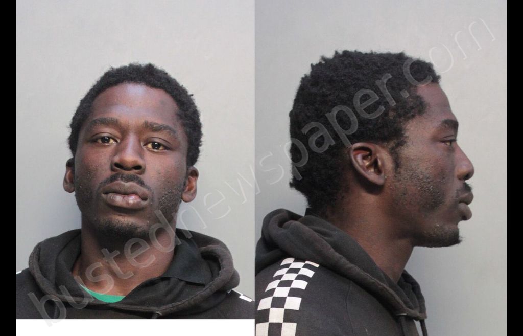 HALL, CASSUAS #, Miami-Dade County, Florida - 2019-12-06 20:59:00