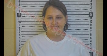 TONYA M. POWELL | 2019-12-06 21:08:00 Taylor County, Kentucky Booking