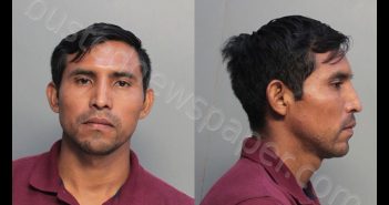 <B>RAMERIZ</B>–<B>DIAZ</B>, <B>ALBERTO</B> <B>FRANSISCO</B> #, Miami-Dade County, Florida - 2019-12-06 19:01:00