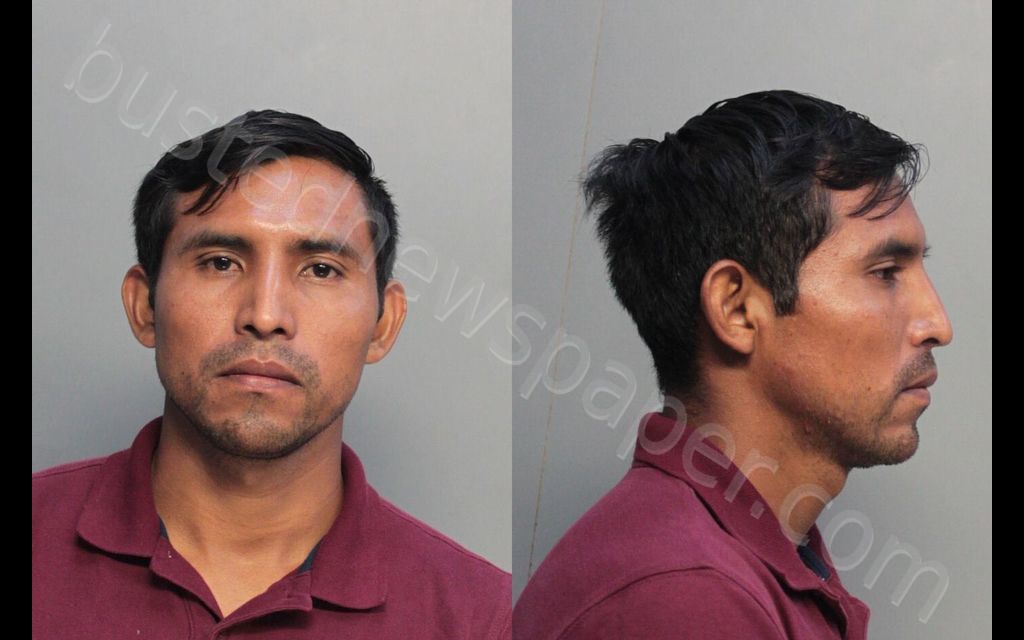 RAMERIZ-DIAZ, ALBERTO FRANSISCO #, Miami-Dade County, Florida - 2019-12-06 19:01:00