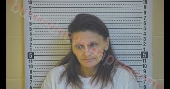 TRACY L PEPPER | 2019-12-06 19:57:00 Taylor County, Kentucky Booking