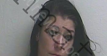 NICKERSON, ANNA MARIE | 2019-12-06 22:12:30 Gilchrist County, Florida Booking