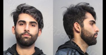 <B>HAMZAVIZARGHANI</B>, <B>AMIR</B> <B>S</B> #, Miami-Dade County, Florida - 2019-12-06 19:02:00