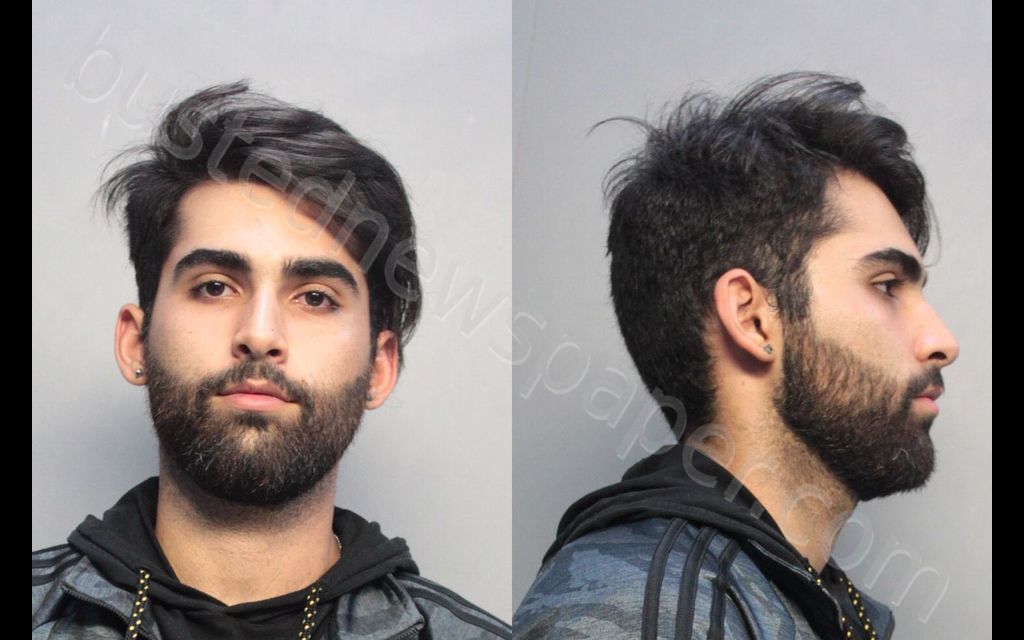 HAMZAVIZARGHANI, AMIR S #, Miami-Dade County, Florida - 2019-12-06 19:02:00