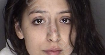 MCPEEK, BRIDGET AMELIA | 2019-12-07 02:09:00 Ellis County, Texas Booking