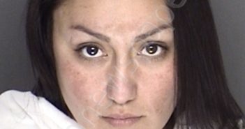 GARCIA, ANGELA | 2019-12-08 00:18:00 Ellis County, Texas Booking