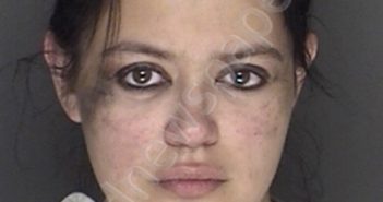 RUTHERFORD, AMBER NICOLE | 2019-12-08 04:12:00 Ellis County, Texas Booking