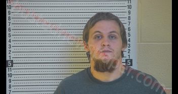 DYLAN W TATE | 2019-12-08 20:21:00 Taylor County, Kentucky Booking