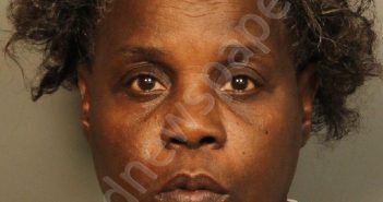 PENNINGTON, CHERYL ANN | 2019-12-08 21:43:00 Jefferson County, Alabama Booking