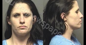 THAYER,CHRISTINA ANN | 2019-12-09 21:20:00 Saline County, Kansas Booking