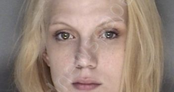 HARVEY, AMY LEEANN | 2019-12-09 19:20:00 Ellis County, Texas Booking