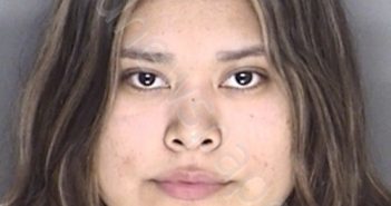 LUNA, ARIANA YVETTE | 2019-12-09 21:31:00 Ellis County, Texas Booking