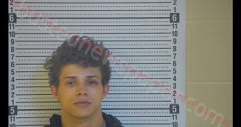 DRAKE A WILLEN | 2019-12-09 04:17:00 Taylor County, Kentucky Booking