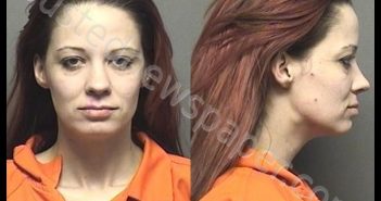 WALTERS-SHEPHERD,CHRISTIN LEE ANN | 2019-12-10 13:50:00 Saline County, Kansas Booking