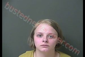 ELENI RENEE SHUPPERD | 2019-12-11 04:37:00 Howard County, Indiana Booking