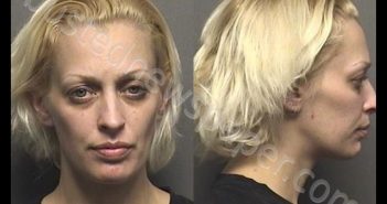 NAPOLEONE,ALICIA MARIE | 2019-12-11 15:40:00 Saline County, Kansas Booking