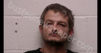 <B>BOLTON</B>, <B>CHRISTOPHER</B> WAYNE #, Robertson County, Tennessee - 2019-12-11 03:36:00