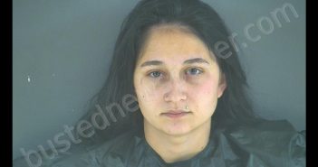 ELIZABETH ANN LOVE | 2019-12-11 21:25:00 Blue Ridge Regional Jail, Virginia Booking