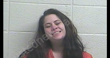 EMILY PAIT | 2019-12-12 03:22:00 Jessamine County, Kentucky Booking