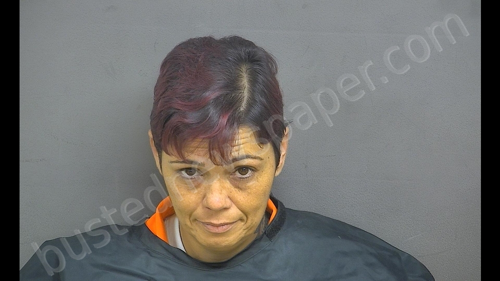 STEPHANIE MICHELLE BREWER #, Blue Ridge Regional Jail, Virginia - 2019-12-12 10:17:00