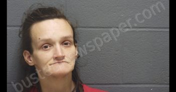 JESSICA FAYE SHECKLER | 2019-12-13 16:40:00 Montgomery County, Indiana Booking