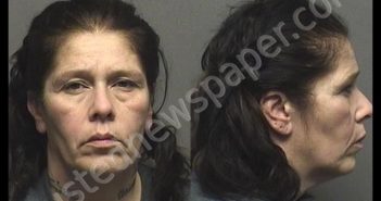 MEDEIROS,DENISE FRIAS | 2019-12-13 14:56:00 Saline County, Kansas Booking