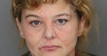LISA MICHELLE BUSH | 2019-12-16 14:32:00 Anderson County, South Carolina Booking