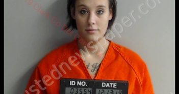 MINDY LEE ROBERTS | 2019-12-17 19:46:00 Clark County, Missouri Booking