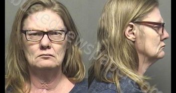 SNOW,CAROL ANN | 2019-12-17 17:35:00 Saline County, Kansas Booking