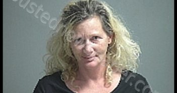 MITTEN JODY BISSET | 2019-12-17 Sandusky County, Ohio Booking