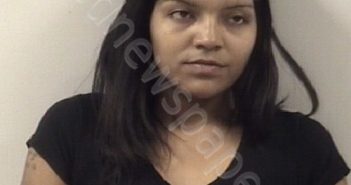 DANIELE NICOLE GEORGE | 2019-12-19 Johnston County, North Carolina Booking