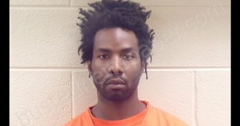 COCO DORELLA | 2019-12-20 11:31:00 Pickens County, Georgia Booking