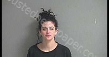 TRAVIS BROOKE NICOLE | 2019-12-21 Sandusky County, Ohio Booking