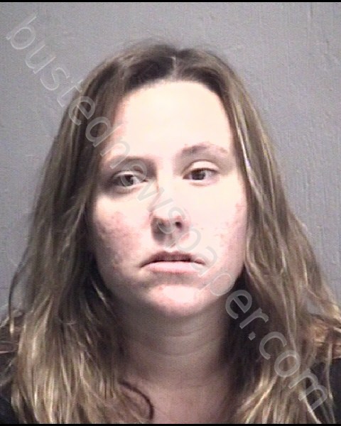 PAINTER, HANNAH ELISE #, New Hanover County, North Carolina - 2019-12-21