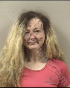 CHRISTINE MICHELLE WOODALL | 2019-12-22 Johnston County, North Carolina Booking