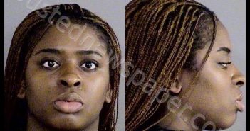 ONUORAH, JOYCE NDIDI | 2019-12-22 21:36:00 Hamilton County, Indiana Booking