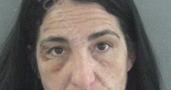 LAURENT, BETH PAMELA | 2019-12-24 00:33:00 Sumter County, Florida Booking