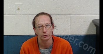BURDETTE, BRANDY MARIE | 2019-12-24 20:03:00 Pocahontas County, West Virginia Booking