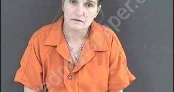 WIMMER, LAUNIA ELSIE | 2019-12-24 22:49:00 Roanoke County, Virginia Booking
